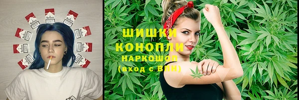МДПВ Липки