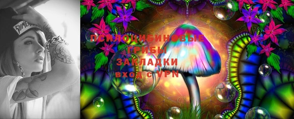 ECSTASY Лиски