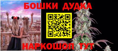 индика Беслан