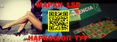 индика Беслан