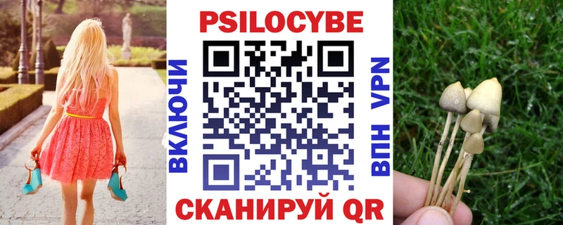 что такое   Дмитров  Псилоцибиновые грибы Magic Shrooms 