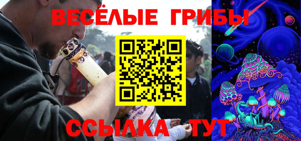 Галлюциногенные грибы Psilocybe Дмитров
