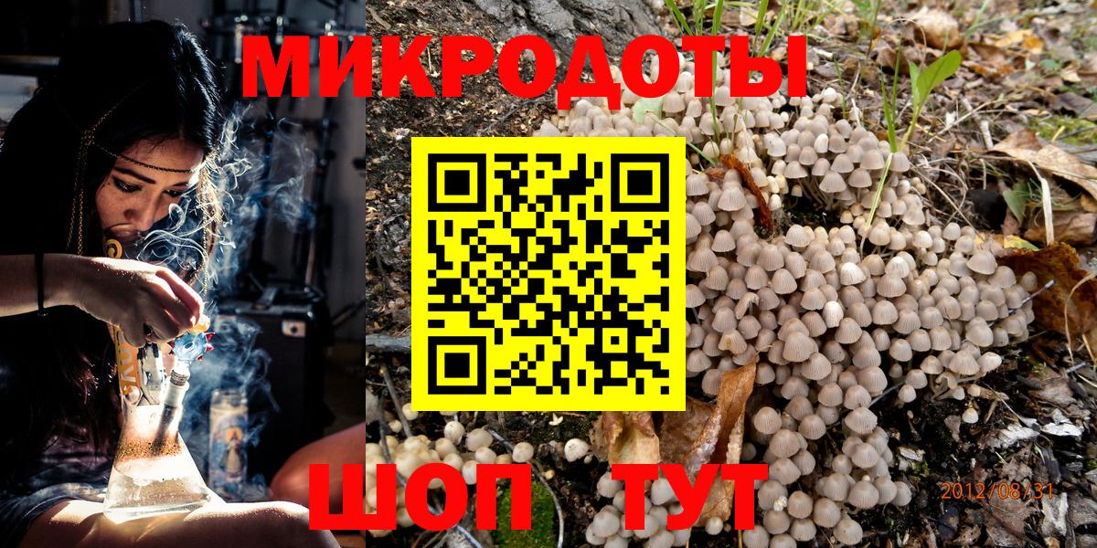 Галлюциногенные грибы Cubensis Дмитров