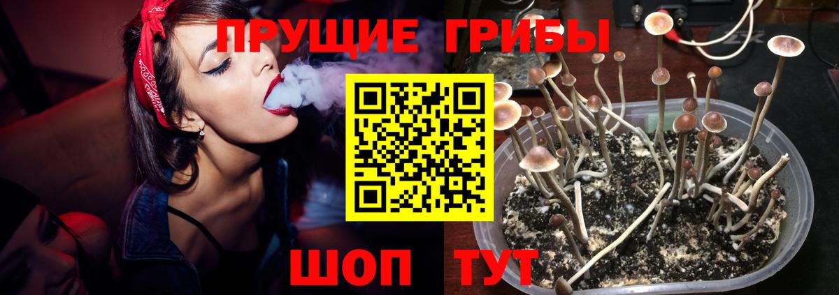 ТГК Дмитров