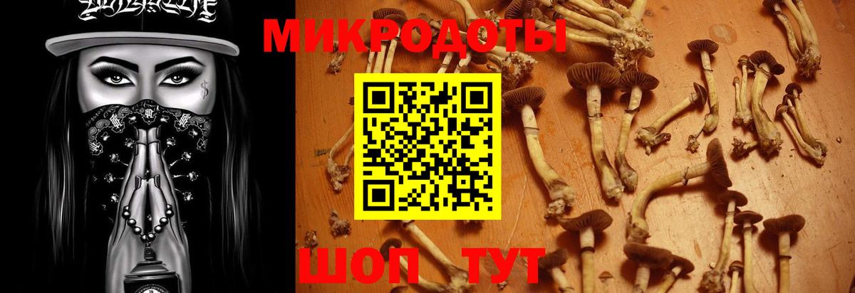 Псилоцибиновые грибы мицелий  Вход с VPN  Дмитров 