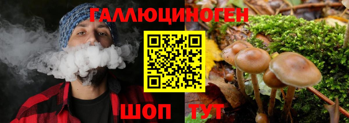 Галлюциногенные грибы мицелий  Дмитров  Галлюциногенные грибы мицелий 